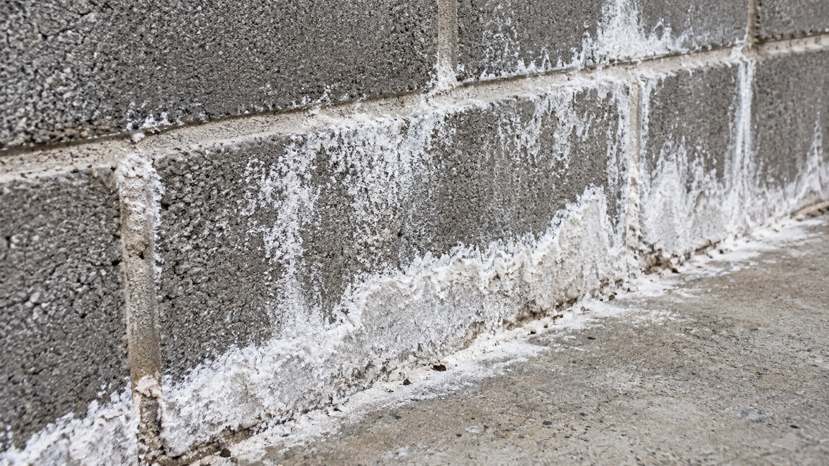 Efflorescence removal from concrete in Colorado by Colorado Concrete Revival