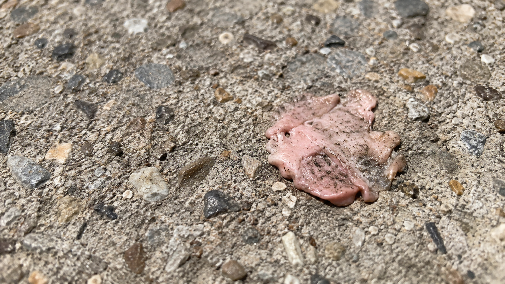 Gum removal from a commercial sidewalk in Colorado